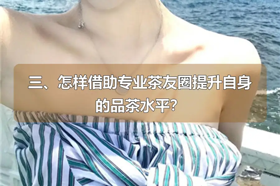 三、怎样借助专业茶友圈提升自身的品茶水平？